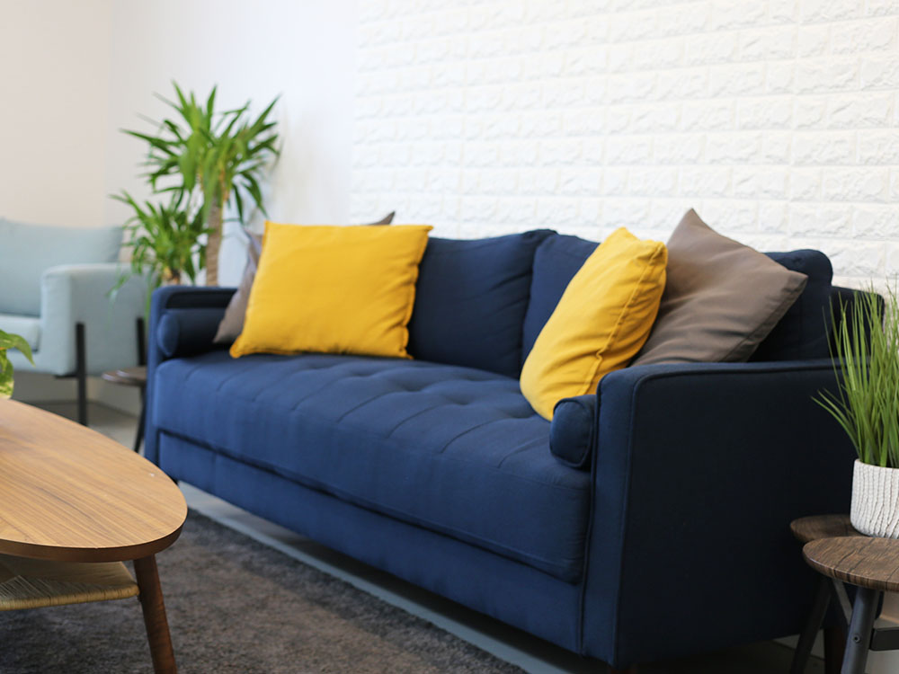 A room with a blue couch with yellow cushions and two green plants on each side at Runway Health